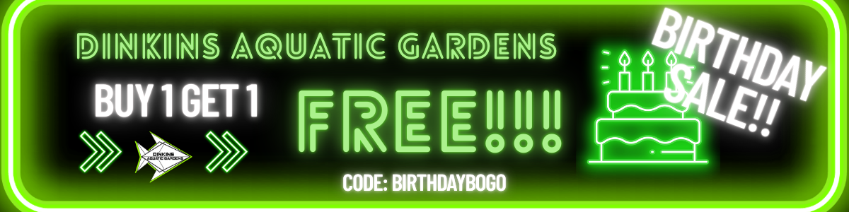 dinkins aquatic gardens.png