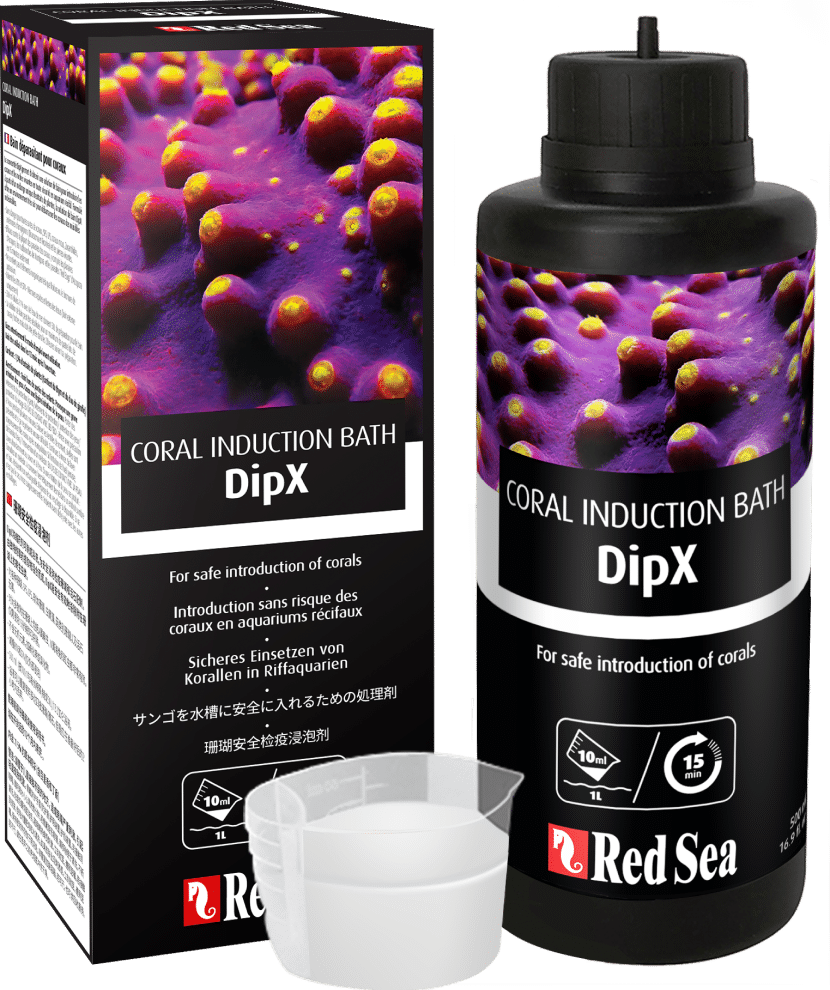 dipx-box-bottle-2.png