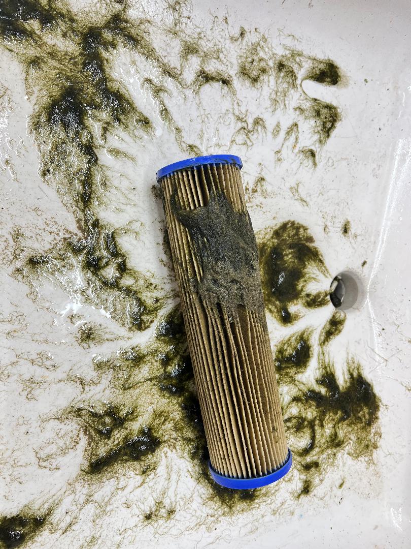 Dirty filter.jpg