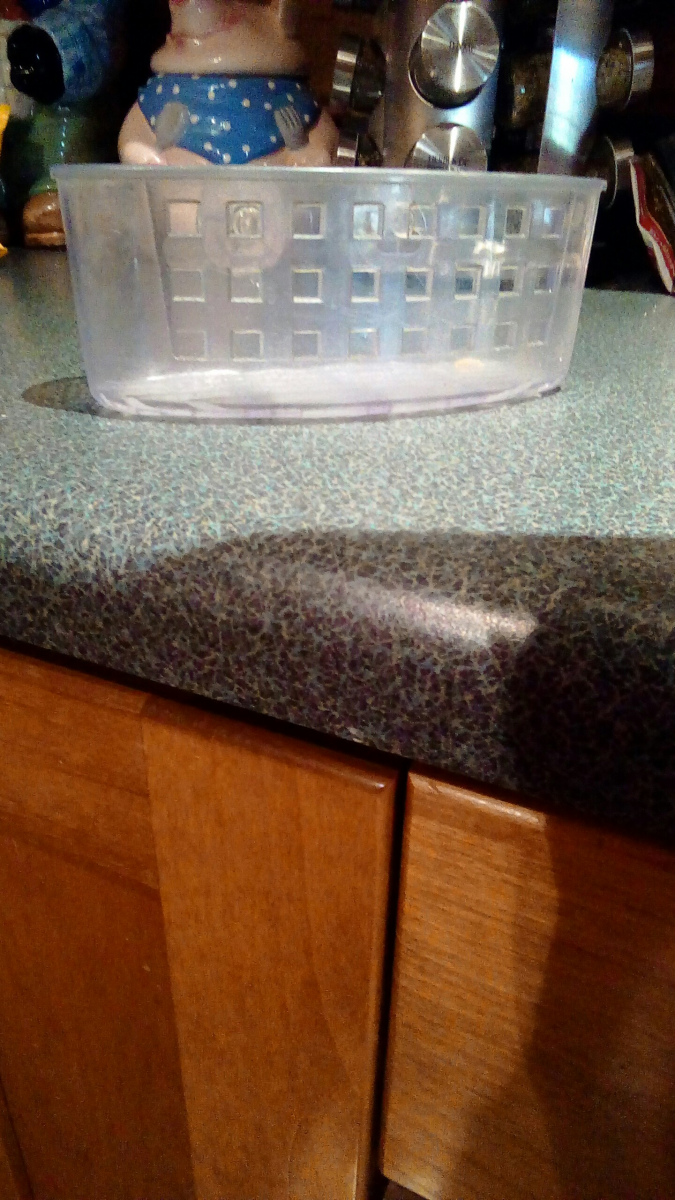 dish.png