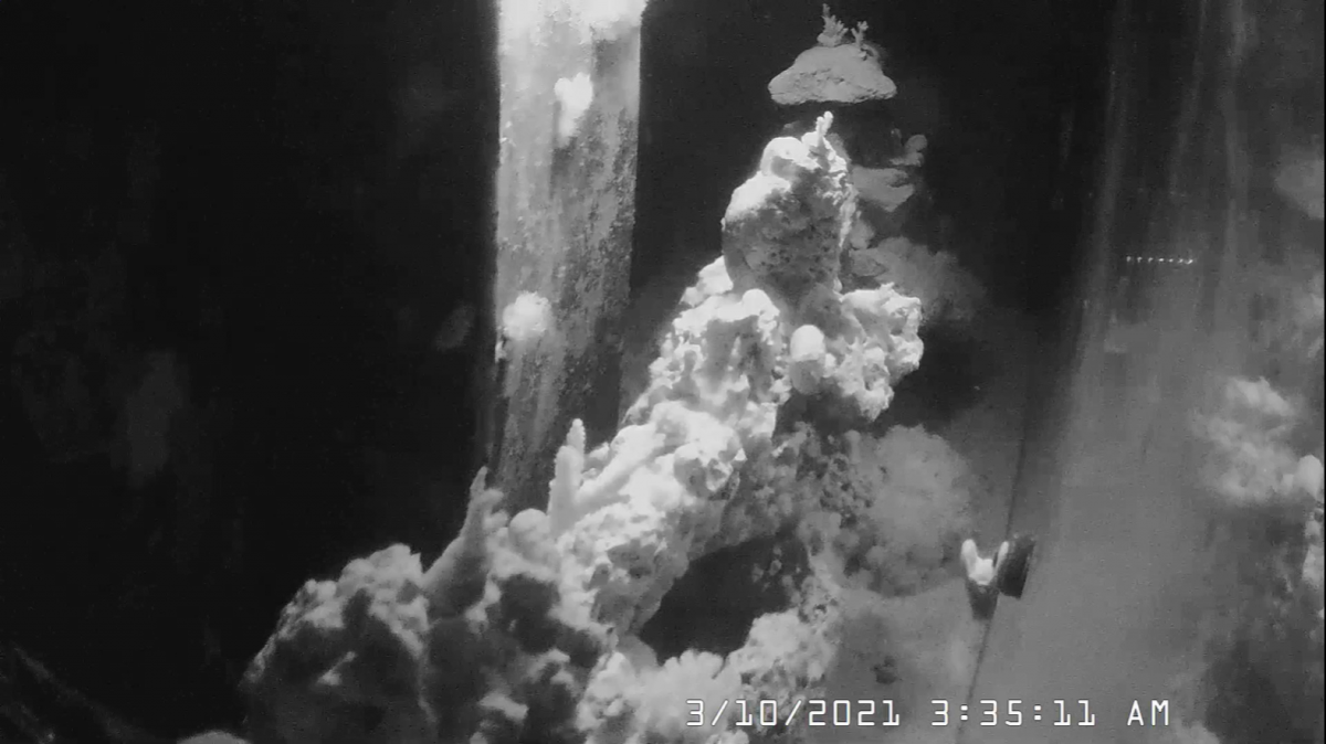 display ir.PNG