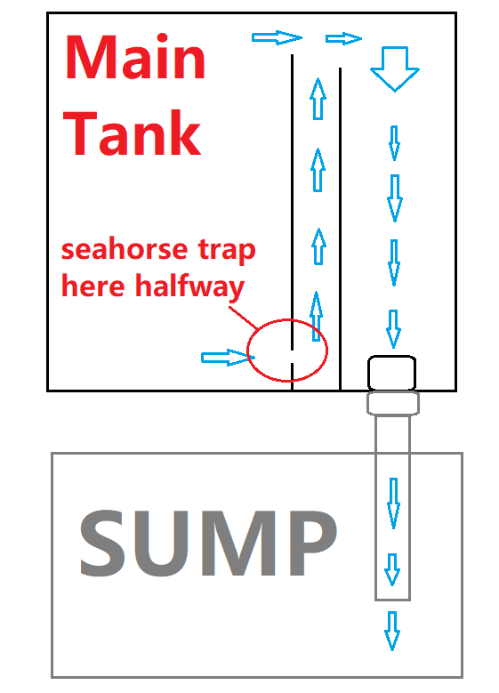 display.png