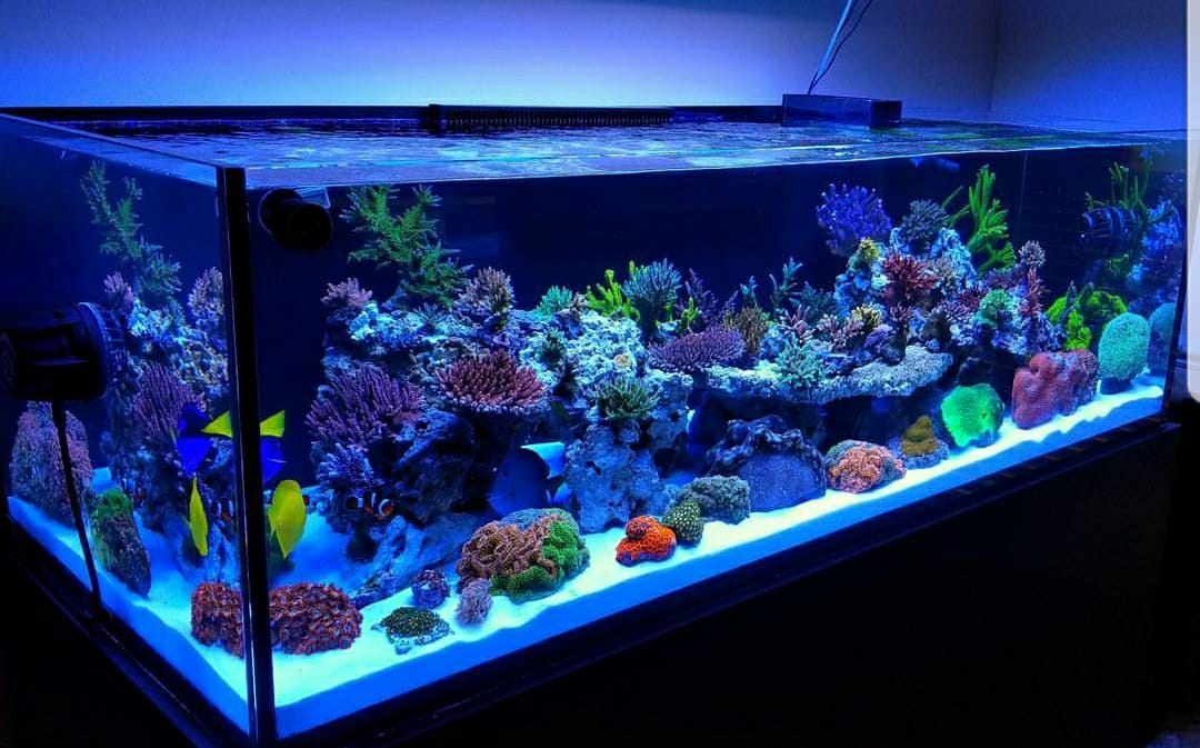 display3.jpg