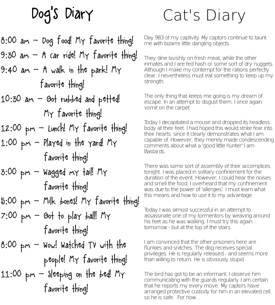 Dog-Diary-Cat-Diary2.jpeg