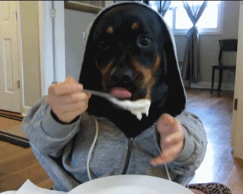 dogeatinggiphy.gif