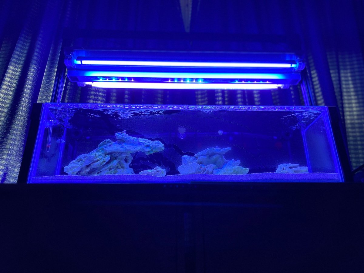 Dorm Setup 19.jpg