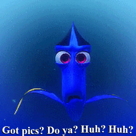 dory.gif