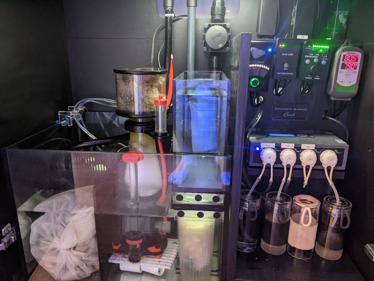 dose set up.jpg