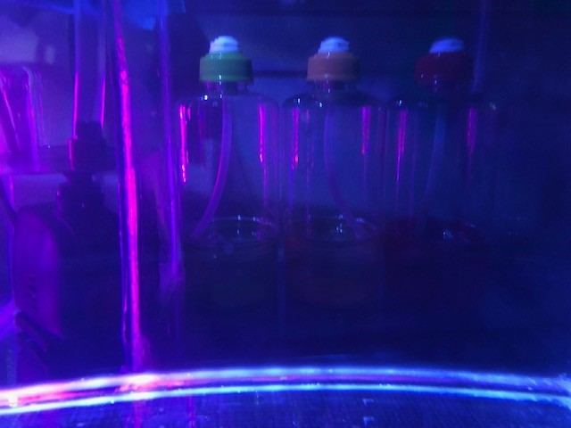 Dosing Containers Filled.jpg