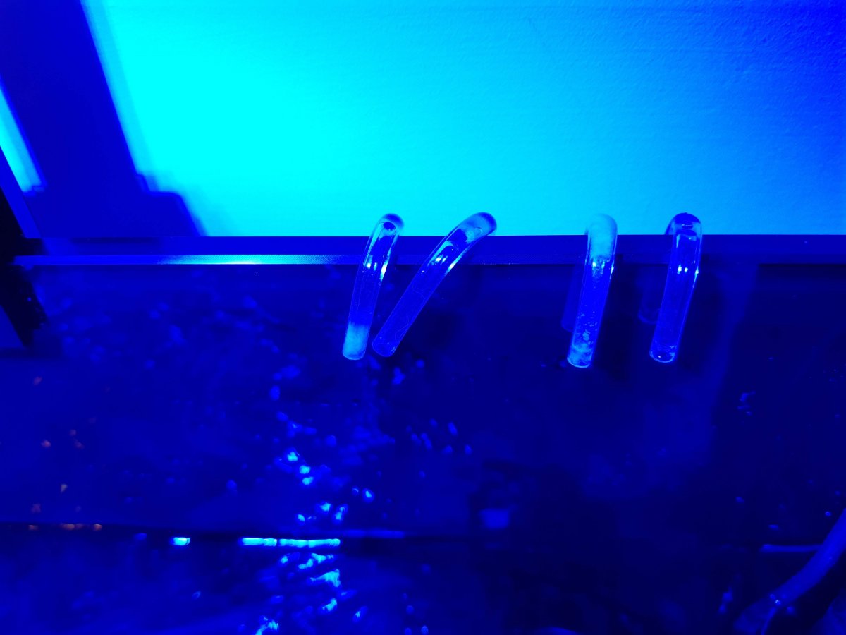 Dosing Lines.jpg