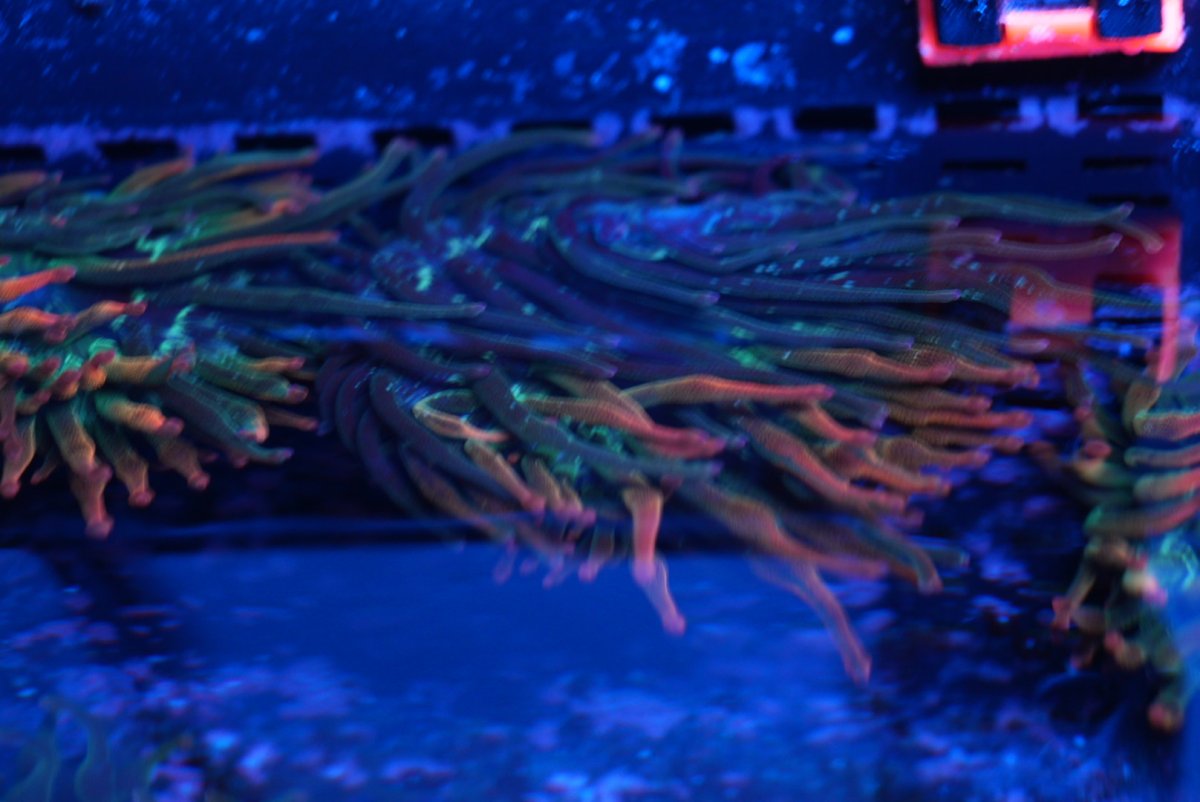 DSC00511.JPG