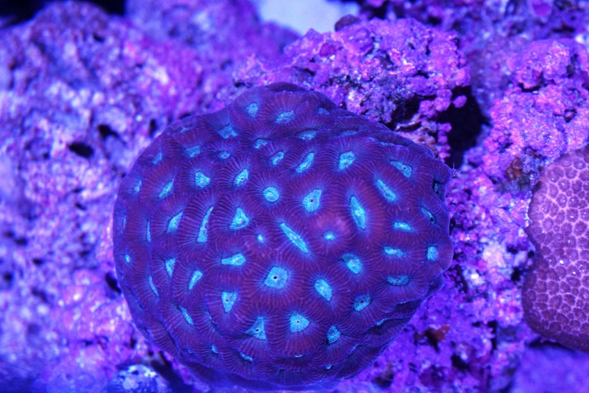 DSC01057-small.JPG