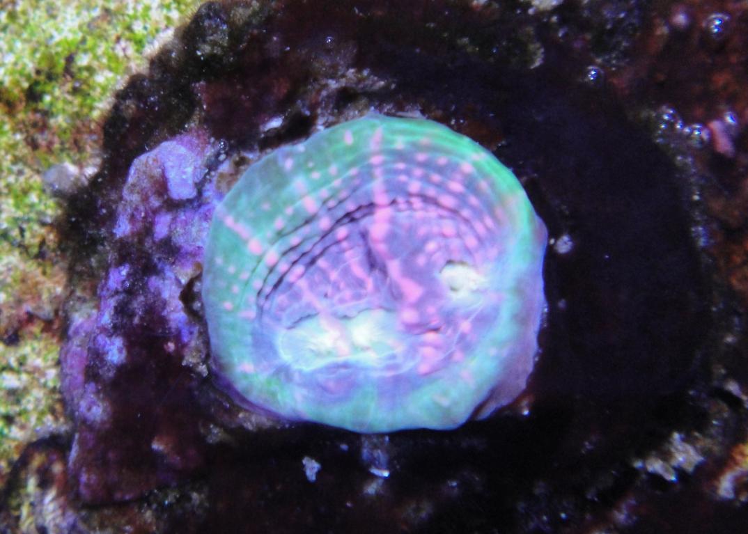 DSC01129.jpg