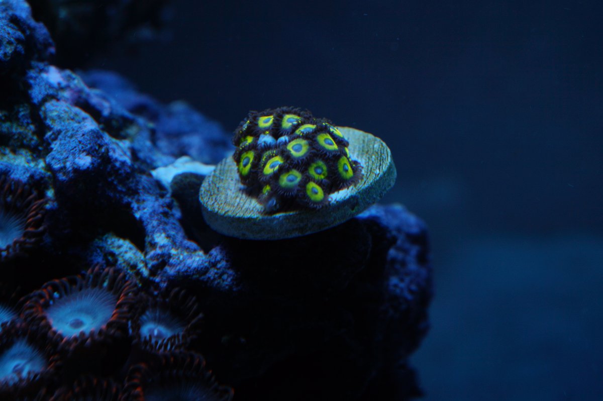 DSC02060.JPG