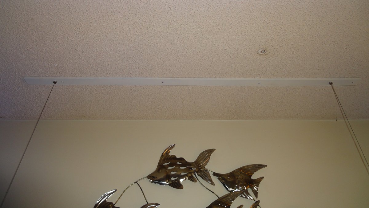 DSC02236.JPG