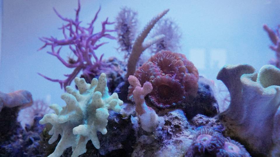 DSC02424-01.jpeg