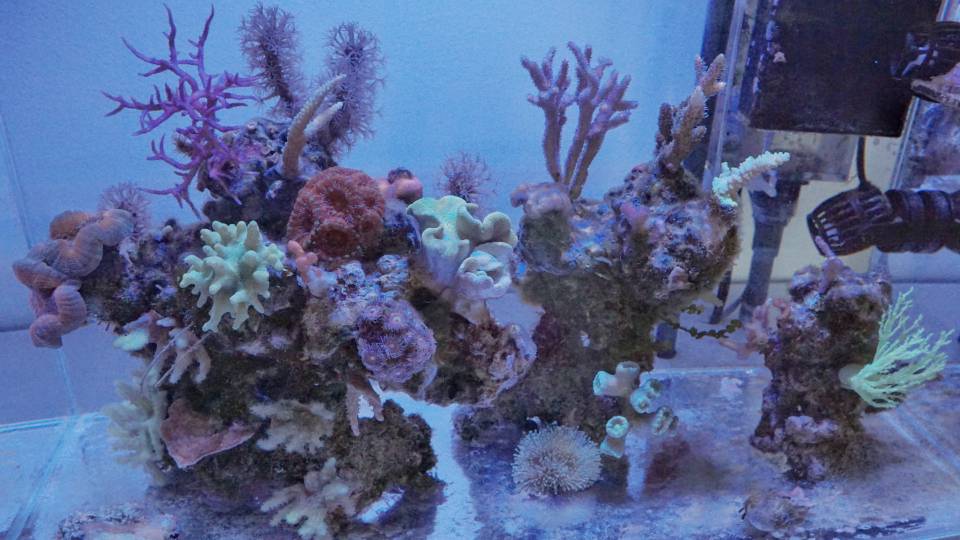 DSC02426-01.jpeg
