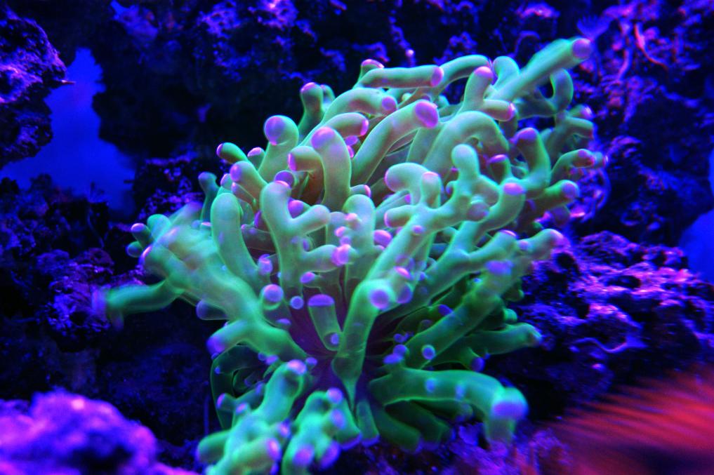 DSC02677.jpg