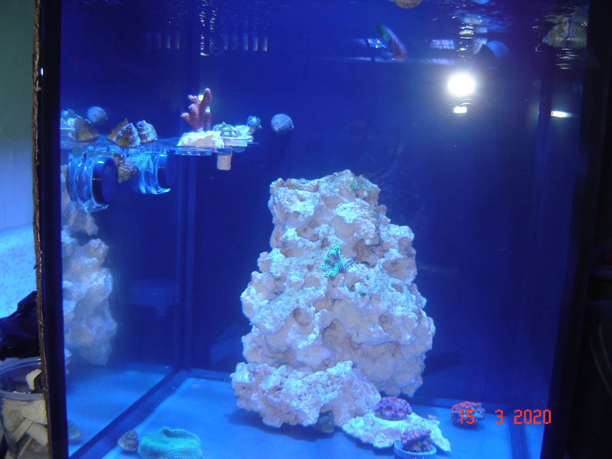 DSC02682.JPG