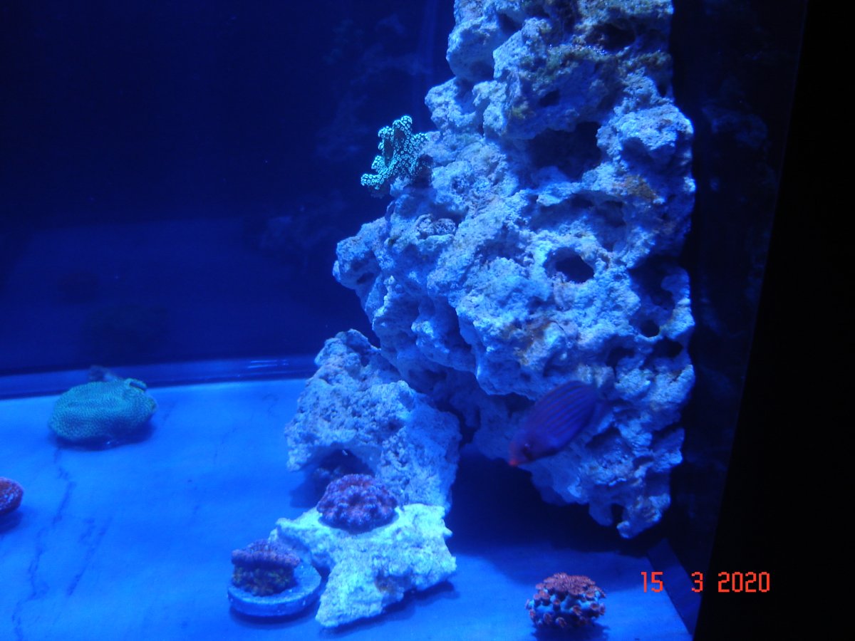 DSC02687.JPG