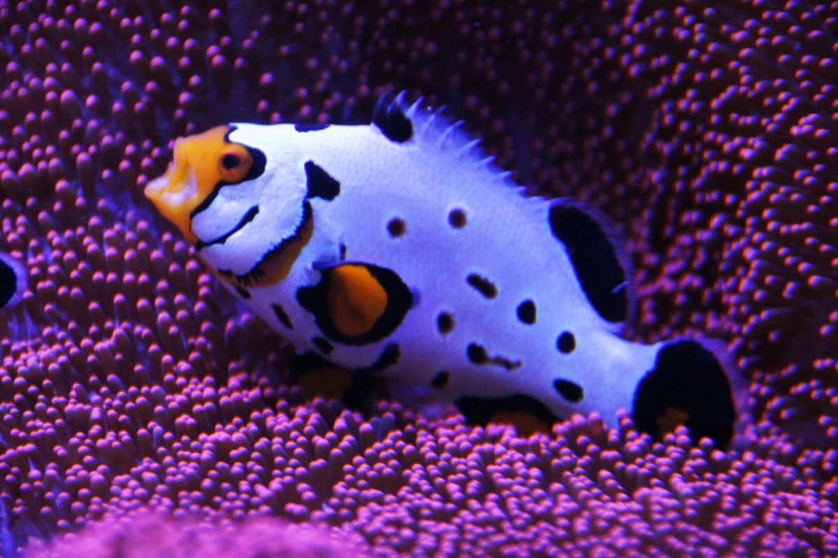 DSC02760.JPG