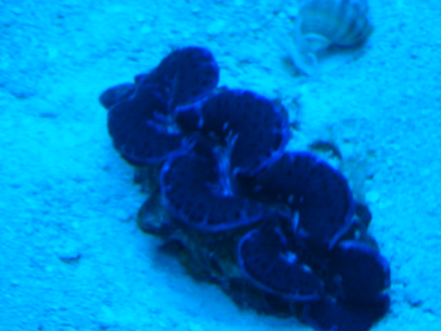 DSC02813.JPG