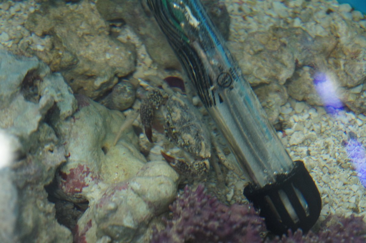 DSC03066.JPG