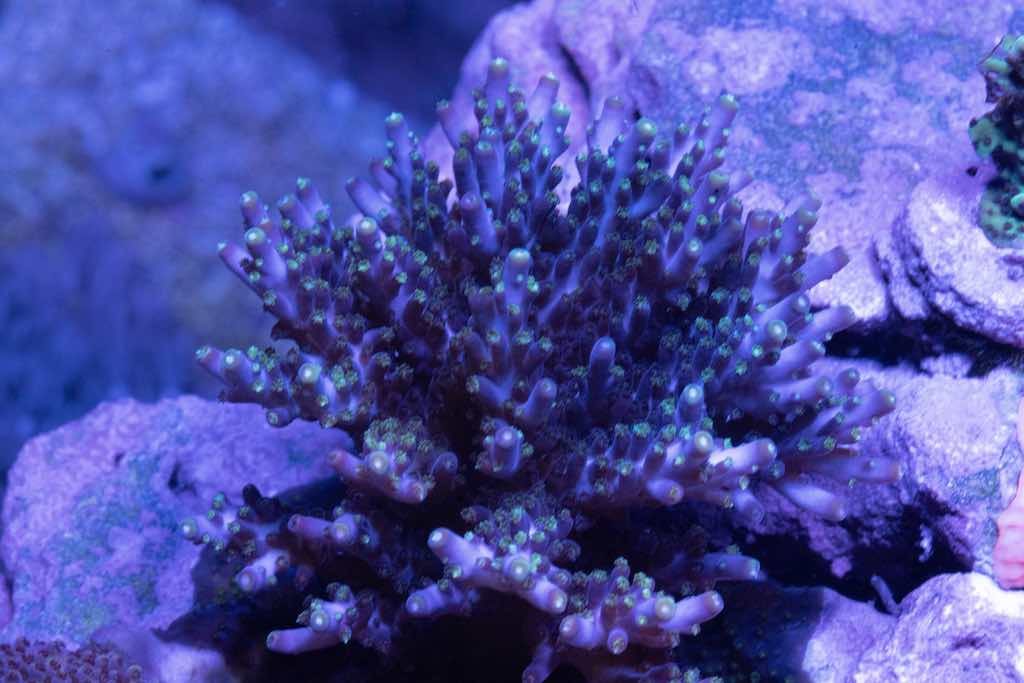 DSC03098.jpg