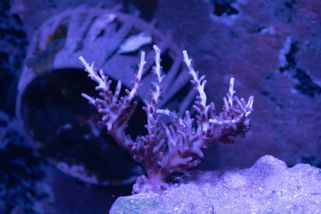 DSC03105.jpg
