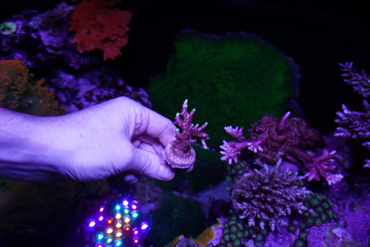 DSC05188.jpg
