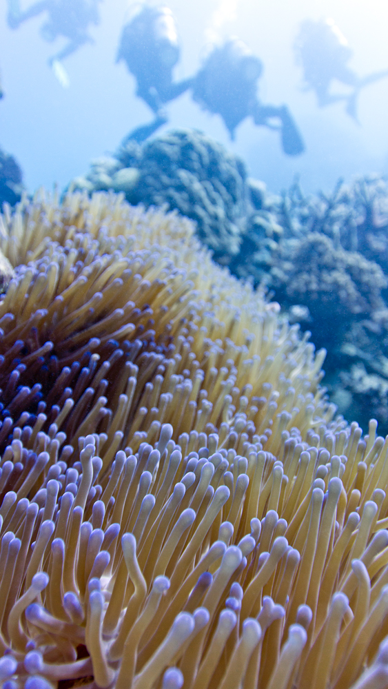 DSC05342.jpg