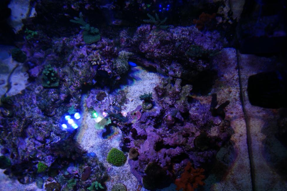 DSC06050 - Copy.jpg
