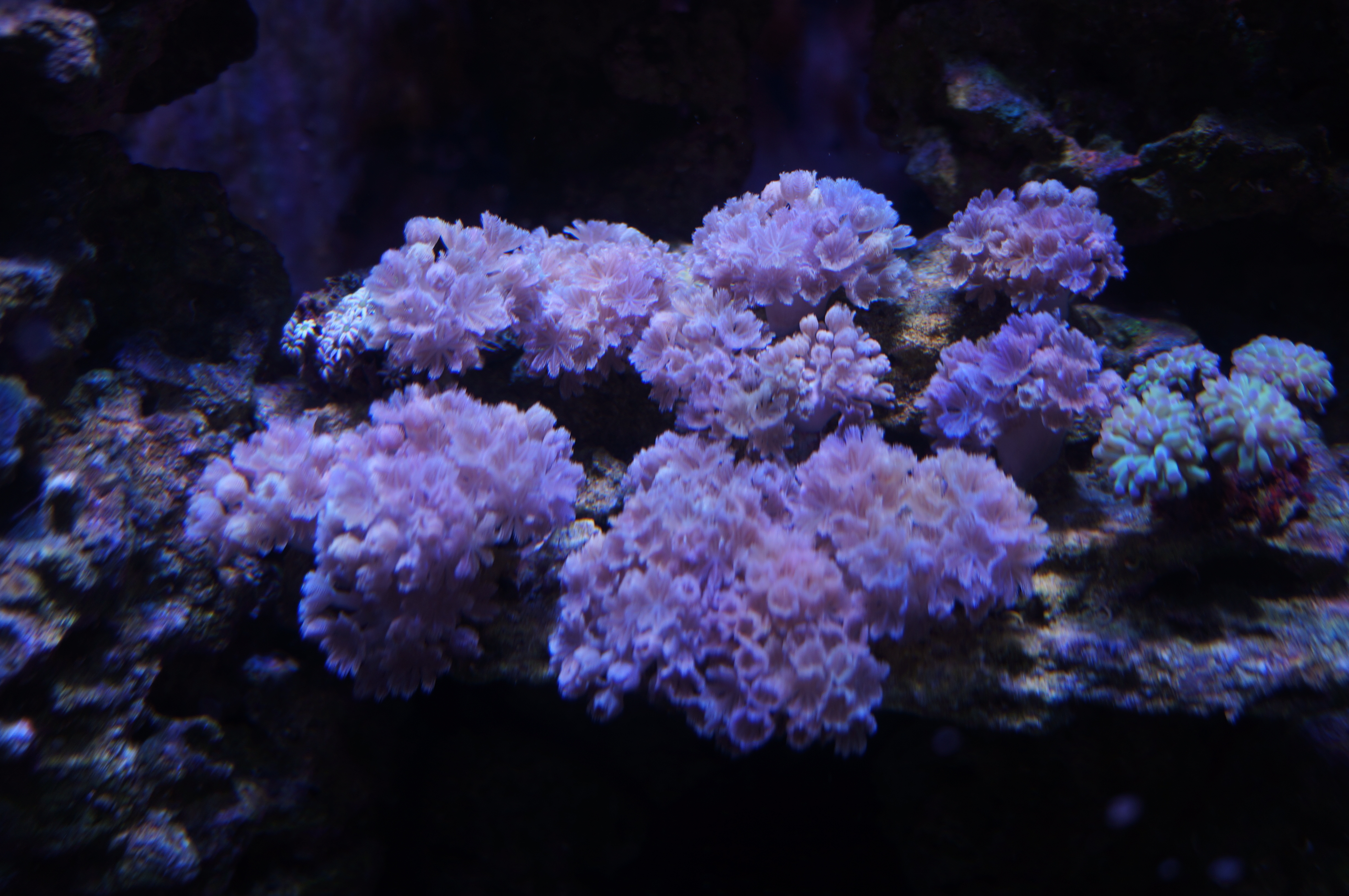 DSC06154.JPG