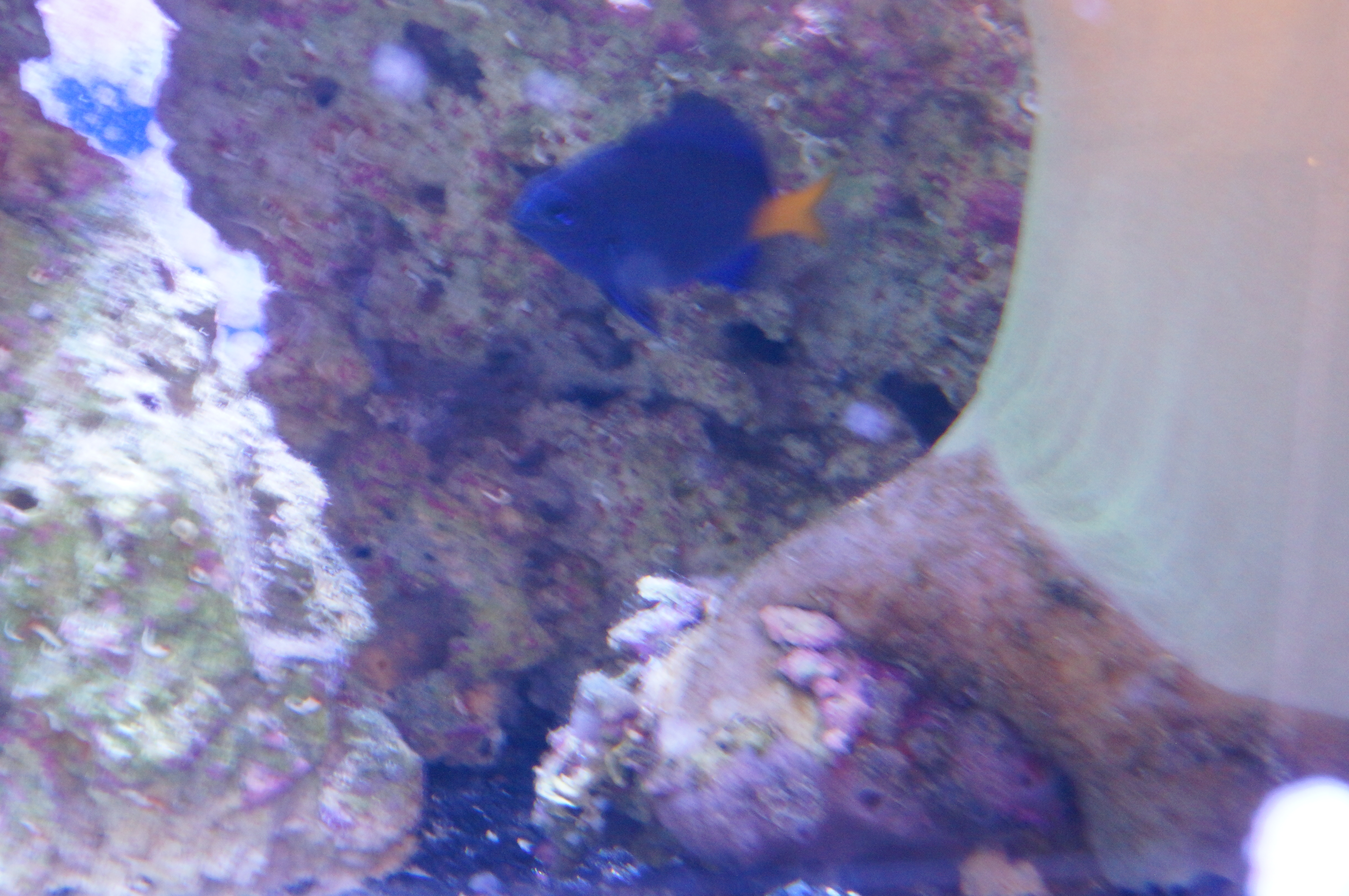 DSC06169.JPG