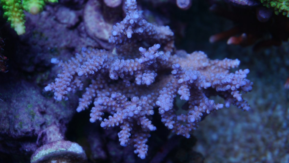 DSC06545.JPG