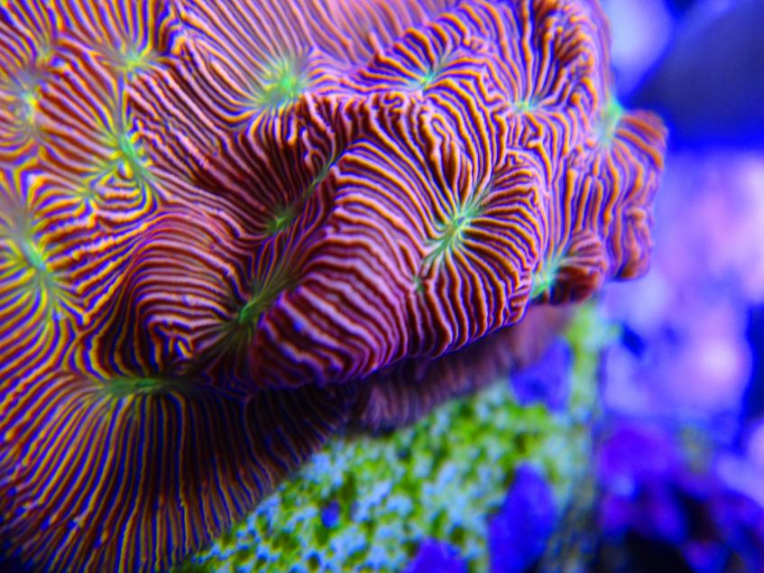 DSC06555.jpg