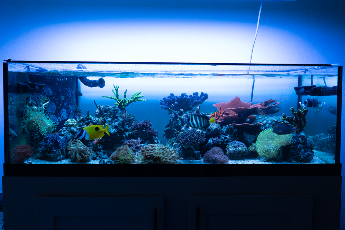 DSC06879.png