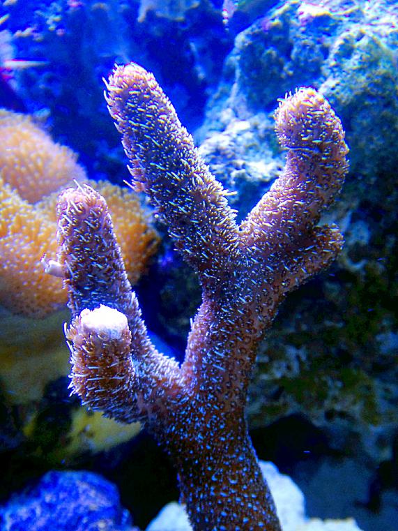 DSC07149edited.jpg