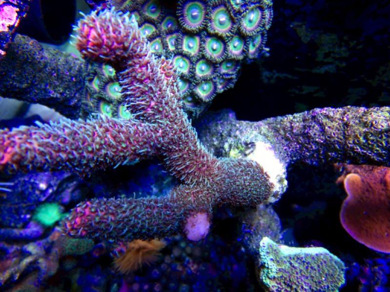 DSC07599edited.jpg