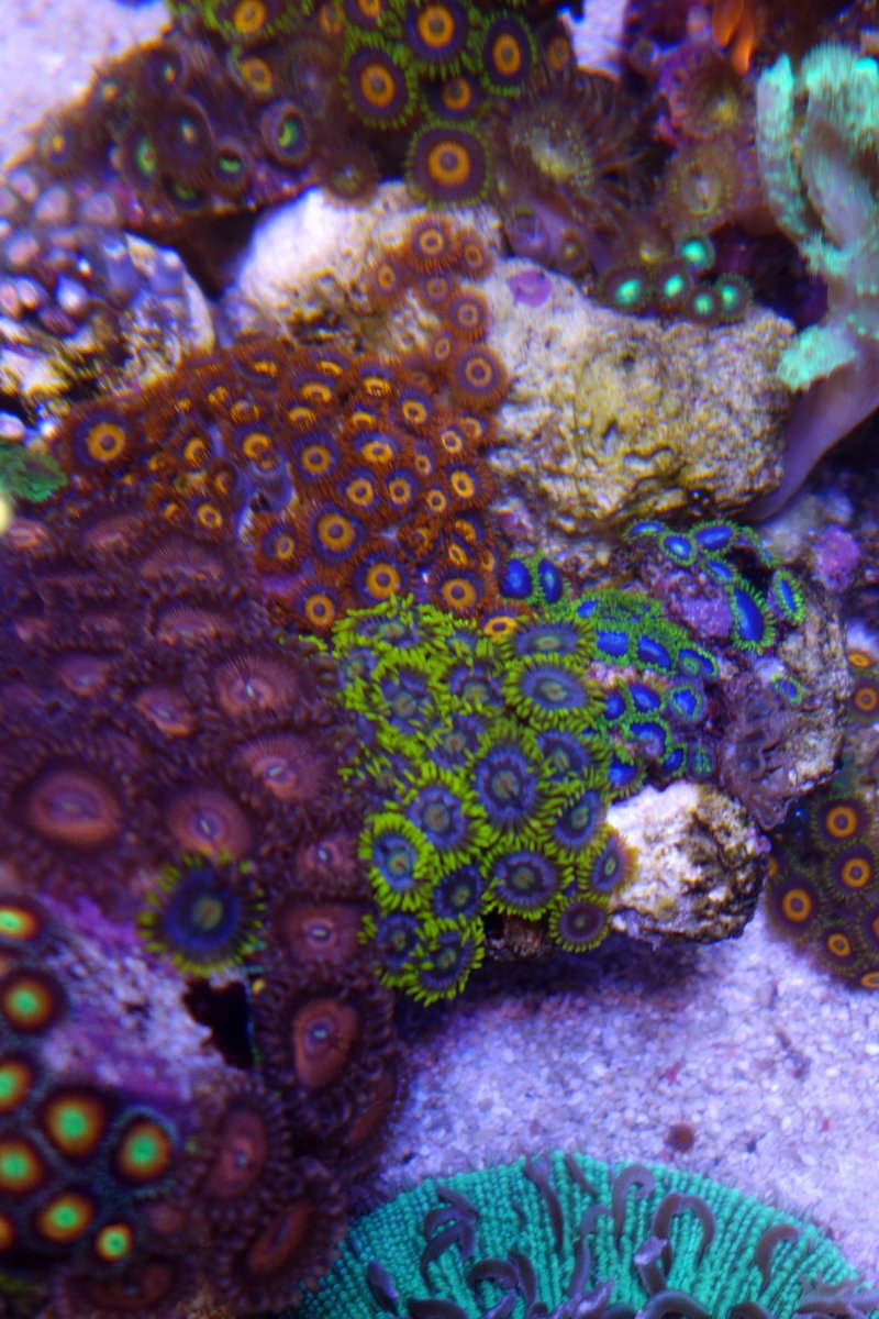 DSC07648.jpg