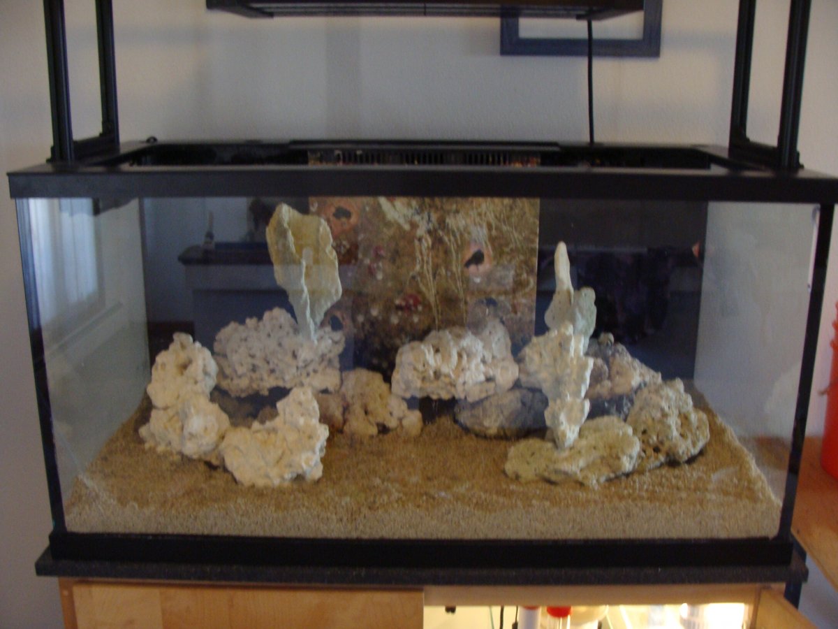 DSC07806.JPG
