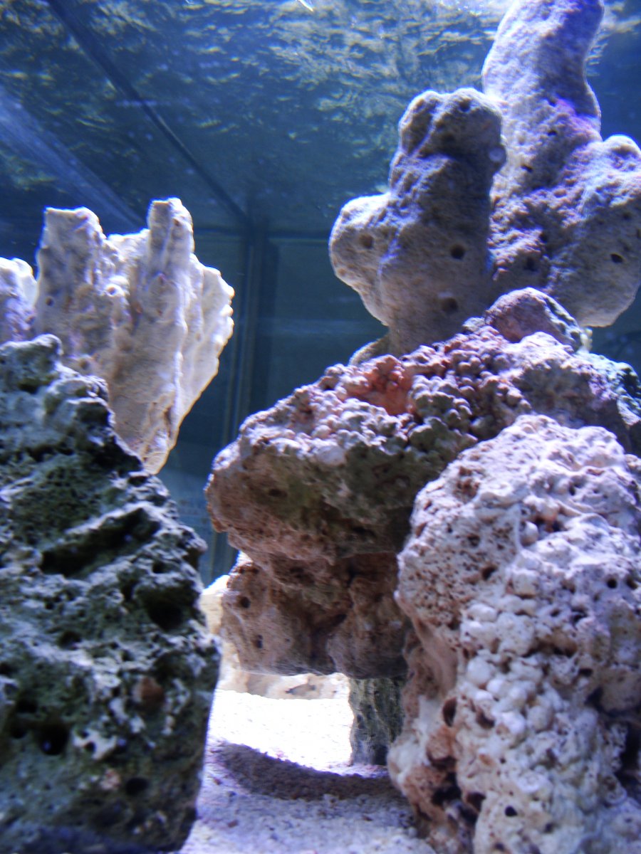 DSC07833.JPG