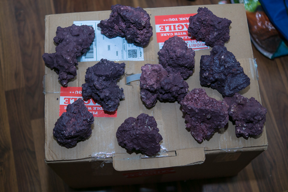 DSC07935-2.jpg