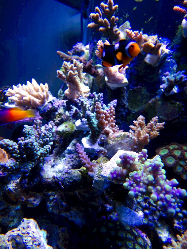 DSC07997edited.jpg
