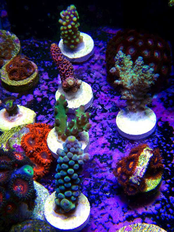 DSC08096edited.jpg