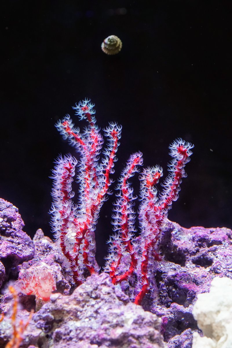 DSC08134~2.JPG