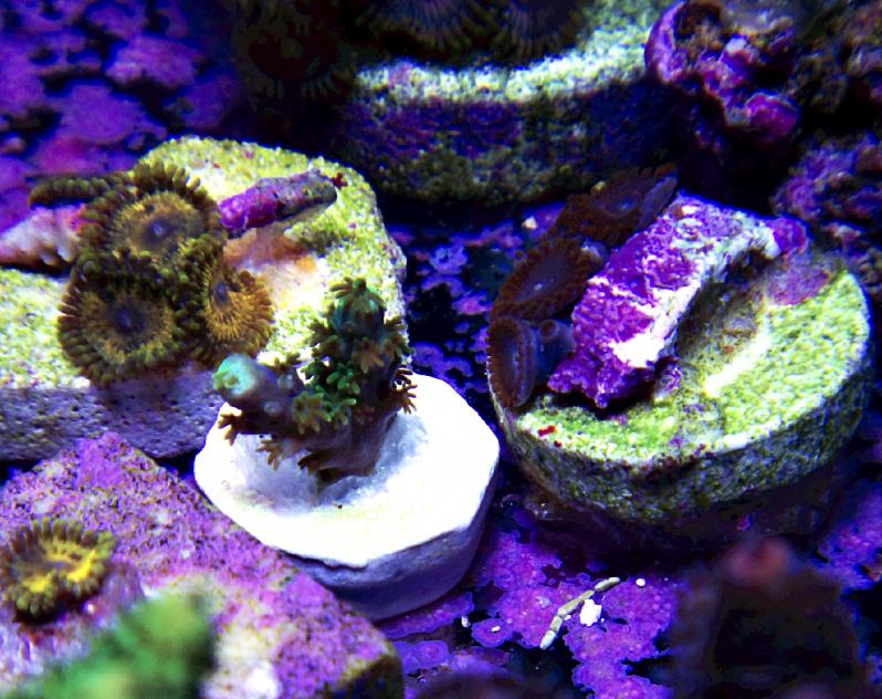 DSC08283edited.jpg
