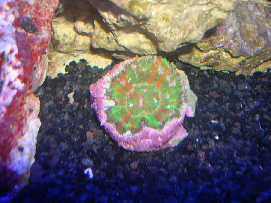 DSC08780.jpg