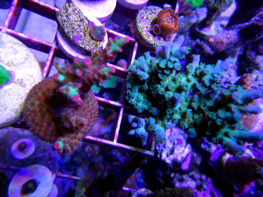DSC09265edited.jpg