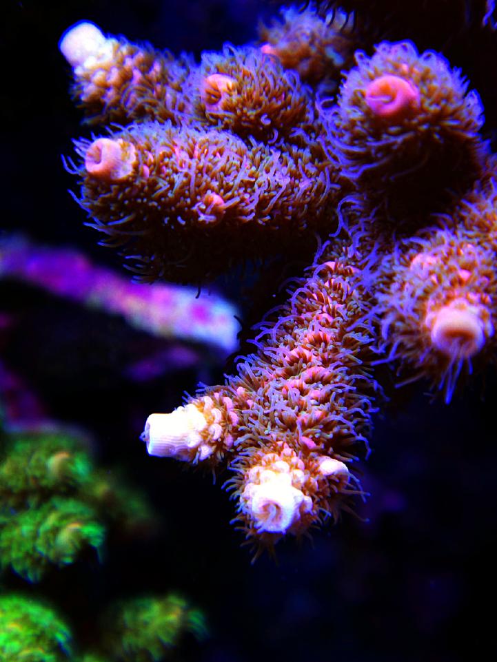 DSC09299edited.jpg